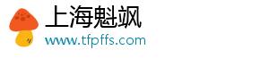 上海魁飒